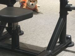 -mYSTEPS健身运动馆(古北店)