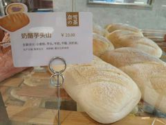 -奈雪的茶(永嘉天地东百城店)