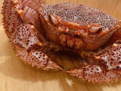 -蟹田居·活蟹料理(东城店)