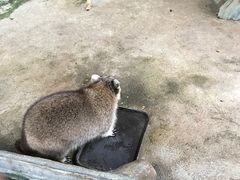 -美的鹭湖森林度假区