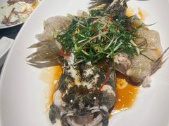 -粤凤佬