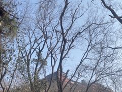 -句容茅山景区