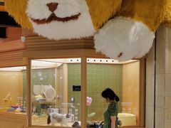 -帕帕拉兹宠物(亚洲旗舰店)