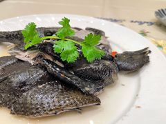 -沙龙酒家