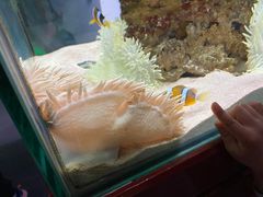 -太平洋海底世界