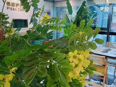 -做披萨的奇葩(中海央墅店)