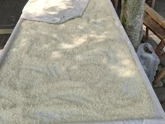 -涞滩古镇