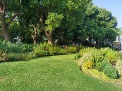 -北外滩滨江绿地