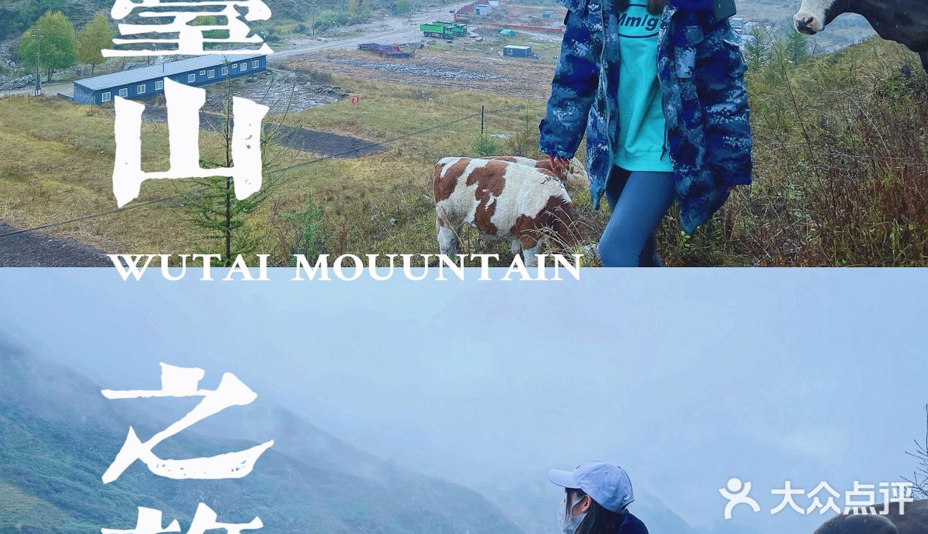 五台山·风景| 你一定是有缘才来到这里💖