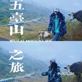 五台山·风景| 你一定是有缘才来到这里💖