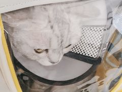 -瑞派康怡24h宠物医院·犬猫医疗中心·微创绝育(瑞景分院)