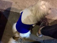 -百好乐宠物友好餐厅(朝外大街店)