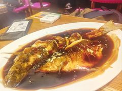-新白鹿餐厅(龙游路店)
