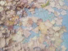 -沐槿宫韩式汗蒸水汇(马群店)