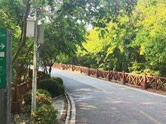 -广州市流溪河国家森林公园