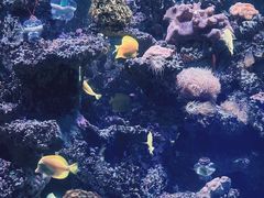 -海合安天津极地海洋公园