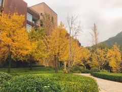 -羡餐厅·杭帮菜·淳菜(千岛湖自由洲际殿店)