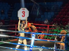 -芭提雅MAX泰拳馆