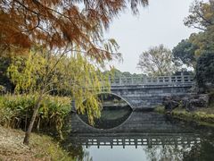 -贡湖湾湿地公园