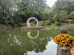 -汇龙潭