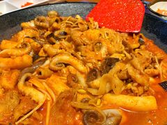 八爪鱼微辣-红辣椒八爪鱼特色韩国料理
