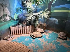 -海合安天津极地海洋公园