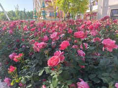 -小蓉合餐厅·川菜·陕南菜(凤城二路店)