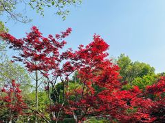 -武汉园博园(武汉自然博物馆)
