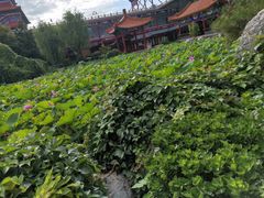 -大明幻境第一城
