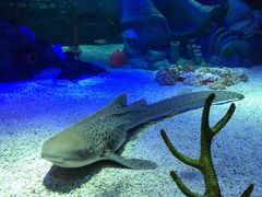 -沈阳海洋探索中心