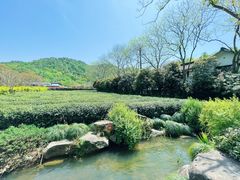 -中国茶叶博物馆(双峰馆区)