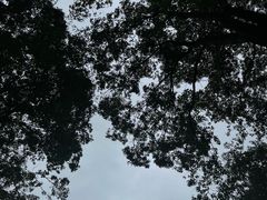 -三星堆博物馆