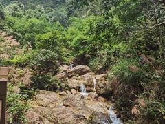 -南海湾森林生态园
