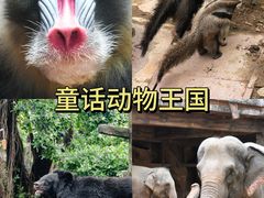 -长鹿旅游休博园