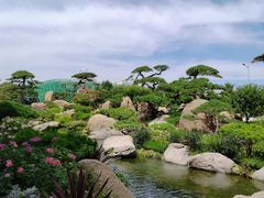 -罗红摄影艺术馆