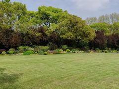 -上海共青森林公园