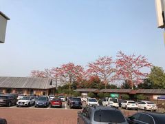 -大湾区中央湿地公园
