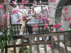 -天天鱼港·海鲜·鲅鱼水饺·招牌烤鸭(黄骅店)
