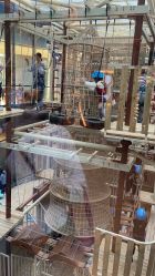 -PIPIKINGDOM皮皮王国欢乐号(欢乐海岸购物中心店)