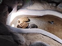 -泉城欧乐堡海洋极地世界