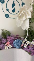 -头道汤头疗养生馆