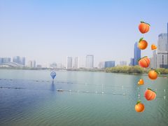 -天鹅湖体育公园