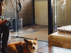 -the rug 飞毯 (朝阳公园店)