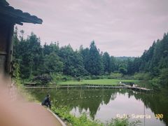 -雅安上里古镇