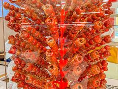 -和禄德冰糖葫芦