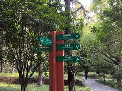 -杭州半山国家森林公园