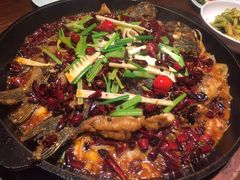 -老板恋上鱼(荣盛广场店)