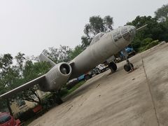 -云岗森林公园
