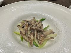 -新光酒家·河豚·海鲜·蟹料理(浦东店)