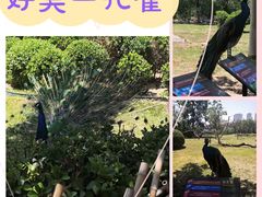 -天津市动物园